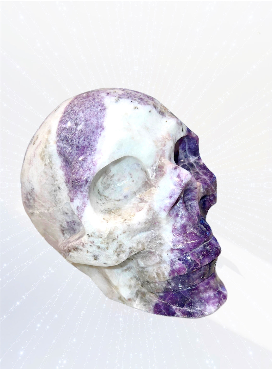 XXXL Dream Amethyst Skull